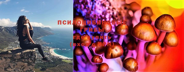 хмурый Сафоново